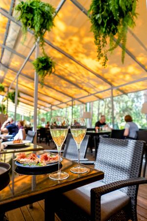 Two glasses of white wine on summer terrace bokeh leaf sunlightの写真素材