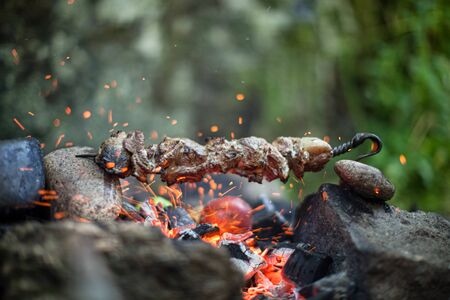 Beef kebab cooking on skewer with flame sparks barbecue on bonfire in forest at travel daylightの写真素材
