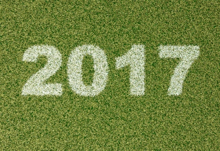 realistic textured grass football - soccer field. 2017 - written with white grass on the green football fieldの写真素材