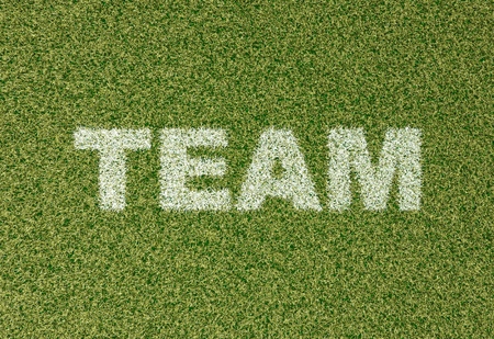 realistic textured grass football - soccer field. TEAM - written with white grass on the green football fieldの写真素材
