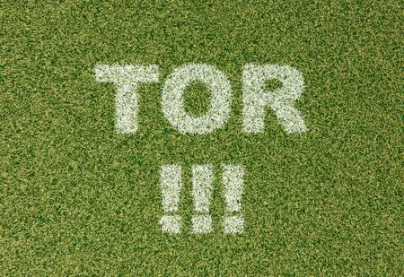 realistic textured grass football - soccer field. TOR - written with white grass on the green football fieldの写真素材