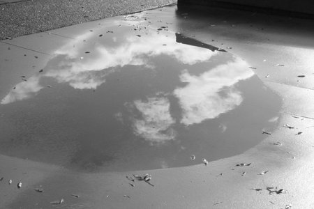 cloud reflection in a puddle