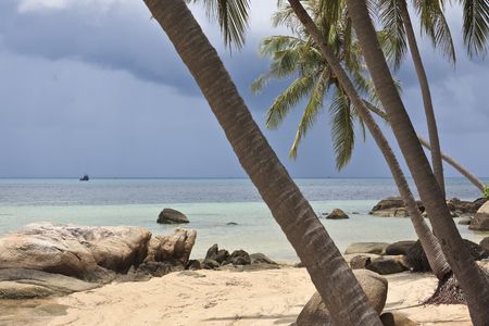 Beautiful beach in thailand. Ko phi phi island.の写真素材