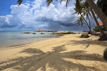 Beautiful beach in thailand. Ko phi phi island.の写真素材