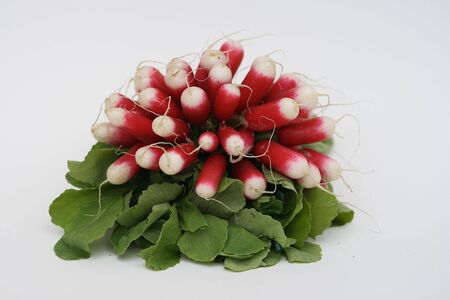 radishの写真素材