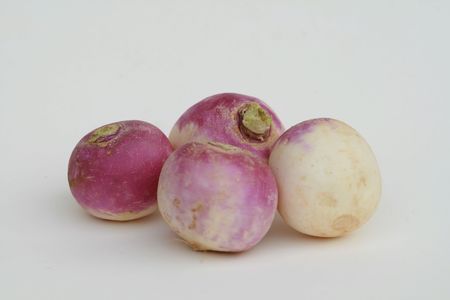 turnipの写真素材