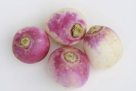 turnipの写真素材