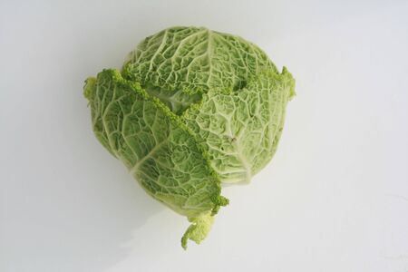 cabbageの写真素材