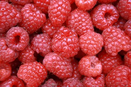 raspberry