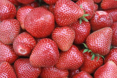 strawberryの写真素材