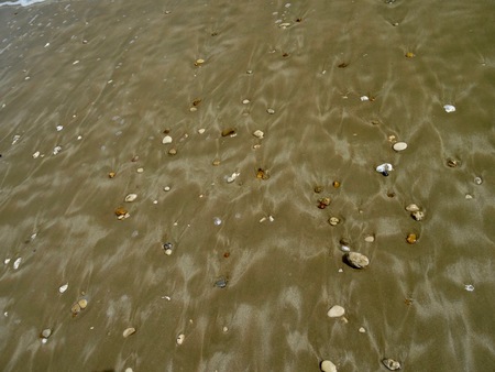 Shells dÃ ? ? covered by the tide ? ? eの写真素材