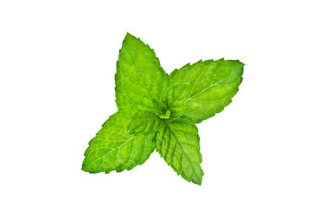 Peppermint leaves.