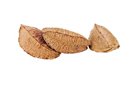 Brazil nuts isolated on white background の写真素材