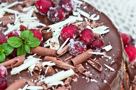 Perfect for the holidays or any special occasion this cheesecake is baked with dried sweetened cranberries and covered in melted chocolate. It is garnished with white and milk chocolate shavings, sugar coated cranberries and a sprig of fresh mint. Extremeの写真素材