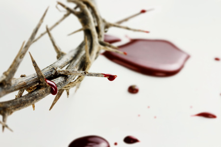 Crown of thorns with drops of blood over white background の写真素材