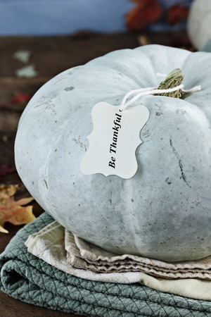Thanksgiving holiday, blue or teal colored pumpkin still life decoration with with greeting card and text of Be Thankful. Extreme shallow depth of field.の写真素材