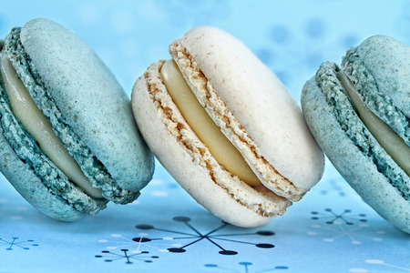 Blueberry and vanilla macarons on a row. Extreme shallow depth of field with selective focus on macarons.の写真素材