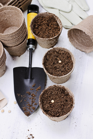Gardening tools, seedling peat pots, seeds and soil on a white wooden table. Image shot from above in flat lay style.の写真素材