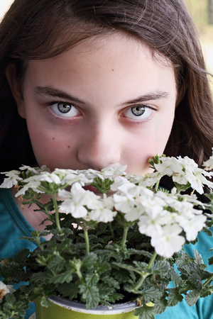 Young teen girl smelling a pot of white Verbena flowers.の写真素材