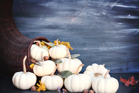 Thanksgiving or Halloween cornucopia or Horn of Plenty against a dark background with mini white...