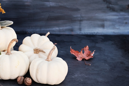 White mini pumpkins and acorns sitting on dark rustic table with free space for copy text. Halloween or Thanksgiving Day background.の写真素材