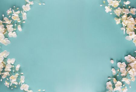 Beautiful and peaceful spring flower blossoms against a blue background. Image shot from top view.
