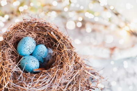 Three speckled Robin blue songbird eggs in a real bird's nest. Extreme shallow depth of field with blurred background and bokeh.の写真素材
