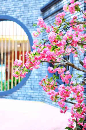 Cherry Blossom Tree with Chinese wall as backgroundの写真素材