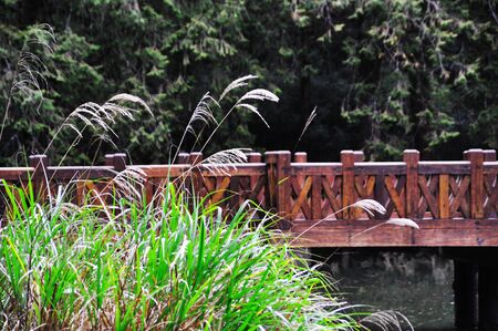 Bridge over lake with grassの写真素材