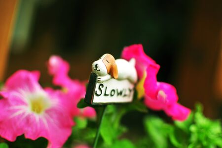 Small Dog decoration in gardenの写真素材