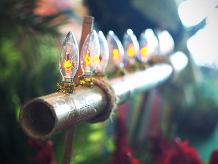 an angle shot of a row of pelita on bamboo stick in a gardenの写真素材
