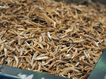 Dry small fishes, crispy, Usually part of the ingredient in Malaysia famous food - Nasi Lemak - Coconut Rice, Ikan Bilisの写真素材