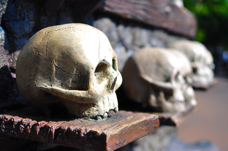 Skeletons skull on display for Halloween decorの写真素材