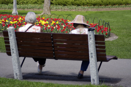 women on bench by tulipsの写真素材