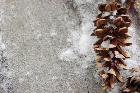 pinecone in snow on rustic wooden, snowy background with copy spaceの写真素材