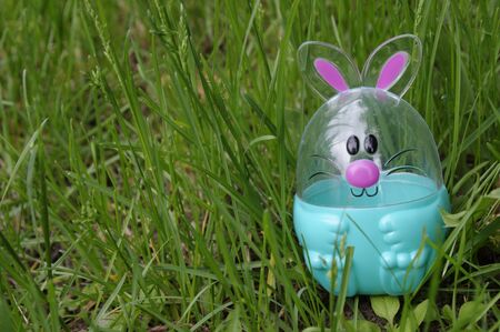 Easter egg bunny in green grass with copy spaceの写真素材