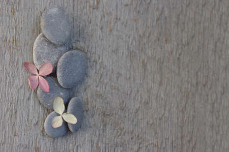 pink hydrangea flowers on smooth river gray rocks on side on rustic wooden background with copy...