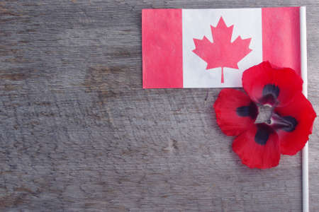 red poppy flower bloom on rustic wooden background with copy space with Canadian flagの写真素材