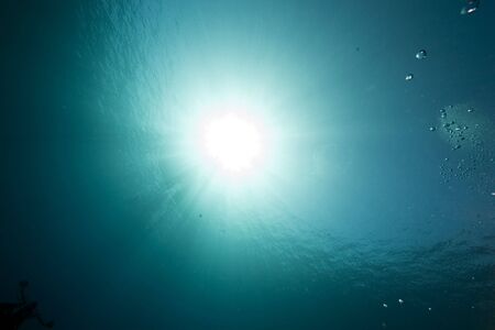 ocean and sunの写真素材