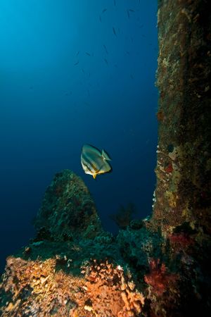 Wreck Dunraven 1876の写真素材