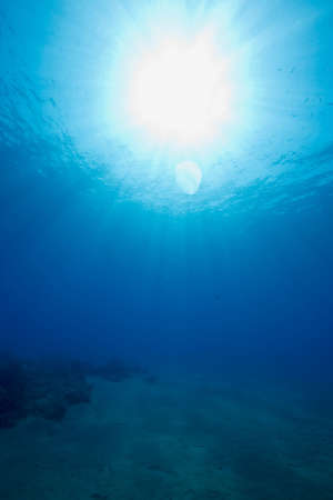 ocean, sun and fishの写真素材