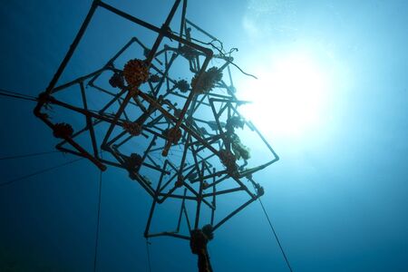 ocean and artificial reef