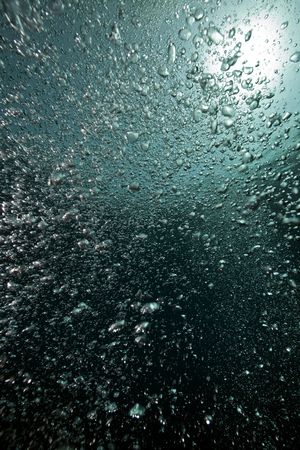 Bubbles in the Red Sea.の写真素材