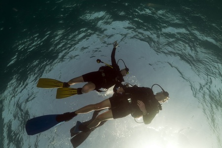 Scuba divers in the Red Sea.のeditorial素材