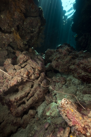 Underwater cave and sunrays in the Red Seaの写真素材