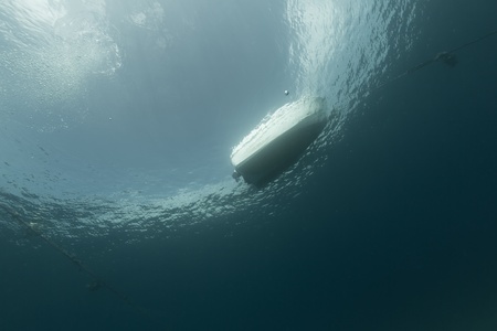 Tropical waters in the Red Sea