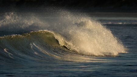 Rolling wave at sunrise crashing close to beach.の写真素材