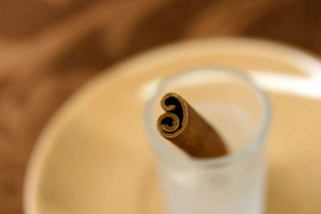 Close up of a cinnamon stick with shallow depth of field