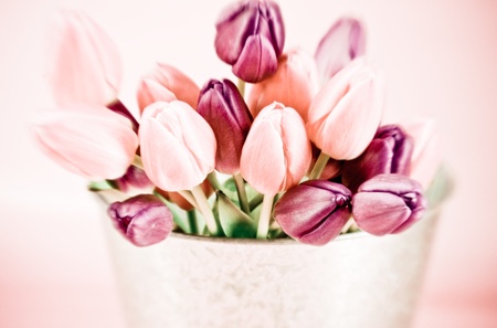 A bucket full of spring tulips with special focusの写真素材