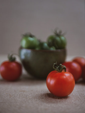 Red and green organic homegrown tomatoes moody imageの写真素材